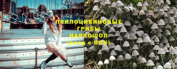 марки lsd Каменка