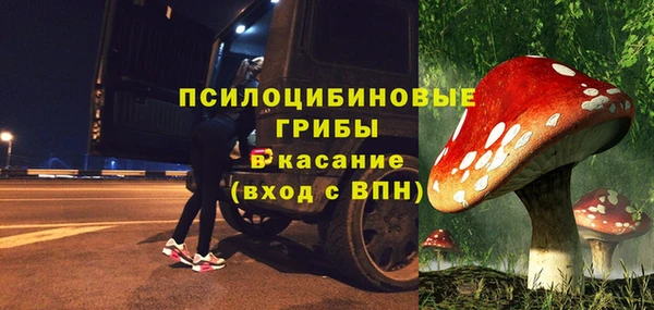 кокс Каменногорск