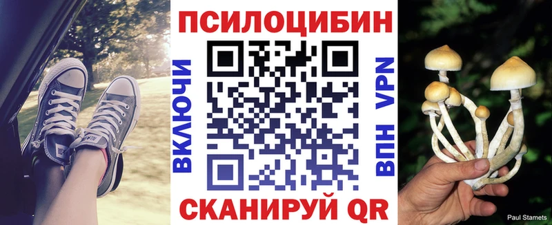 Купить закладки  Зеленокумск  Псилоцибиновые грибы MAGIC MUSHROOMS 